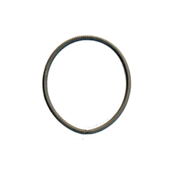 Bic Sport BIC Techno 293 One Design Mastefodsjustering Ring